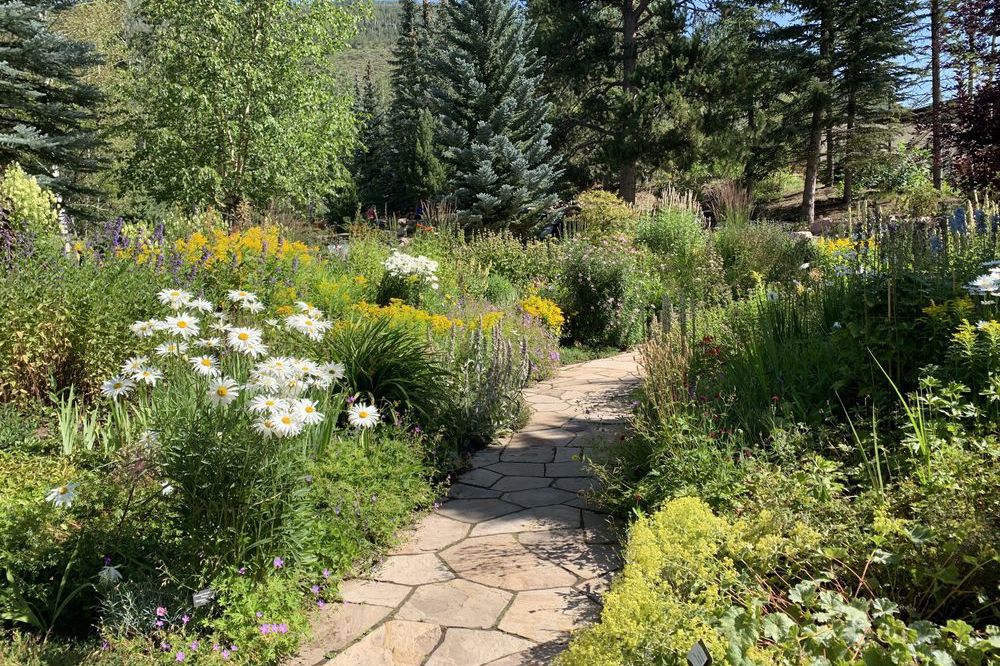 Betty Road Alpine Gardens, Vail, Colorado