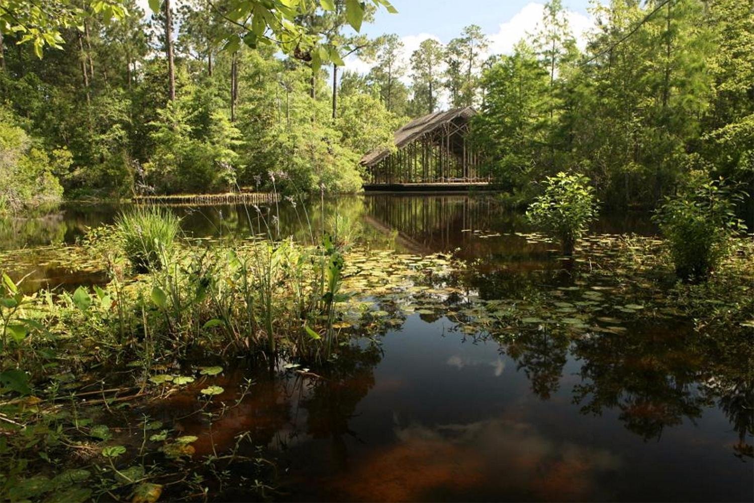 Crosby Arboretum, Picayune, Mississippi