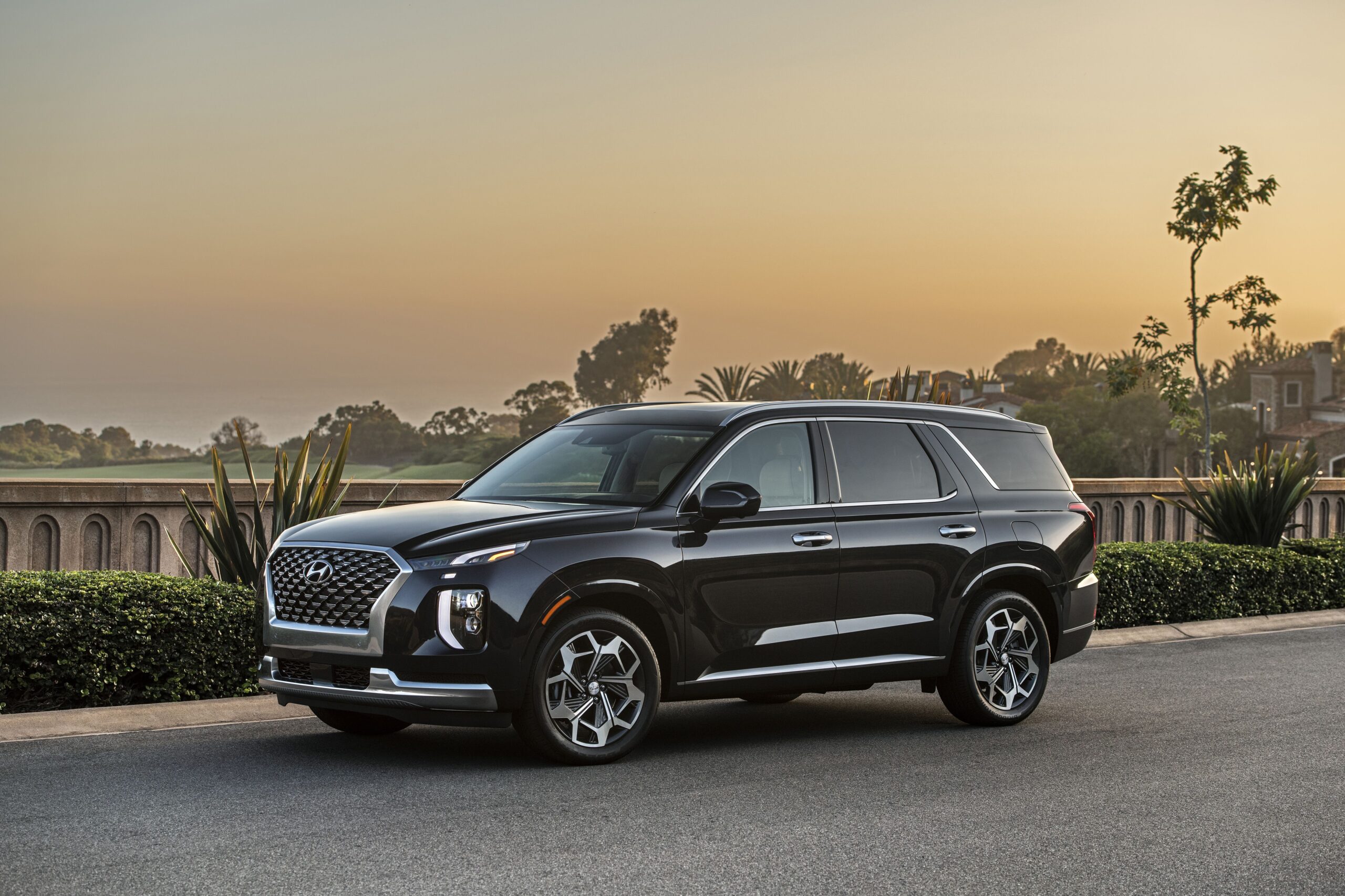 Grandkid Hauler: Hyundai Palisade