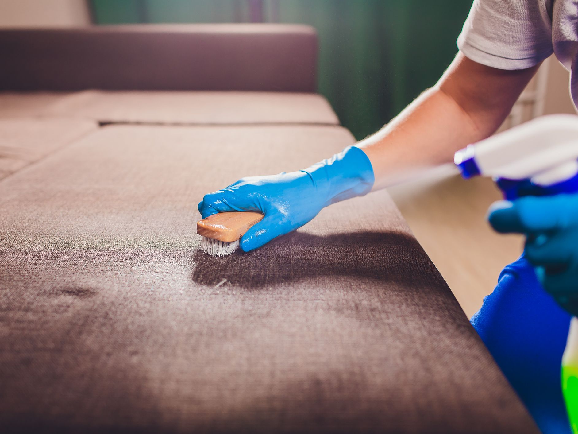 Cropped image. Cleaning concept. Male hand in light blue protective gloves cleaning sofa couch in the room