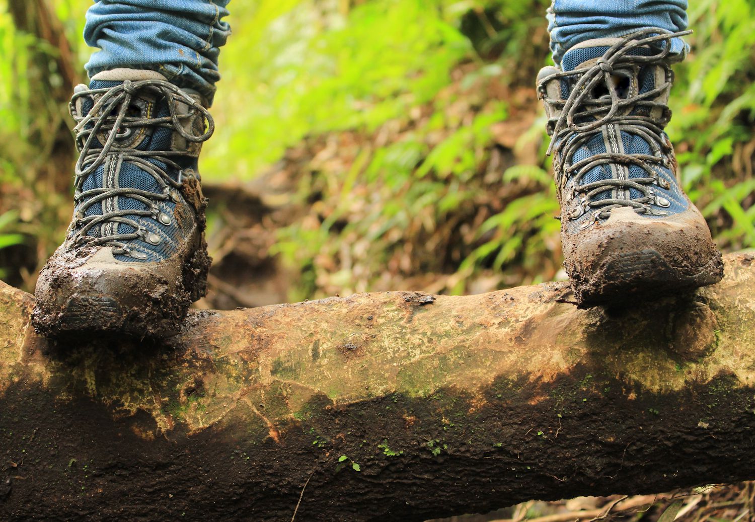 Detail of muddy boots in the way to the Lost three waterfalls hike in the highlands close to Boquete, Panama.