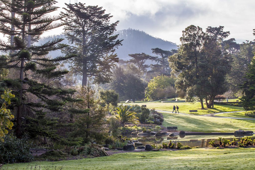 San Francisco Botanical Garden
