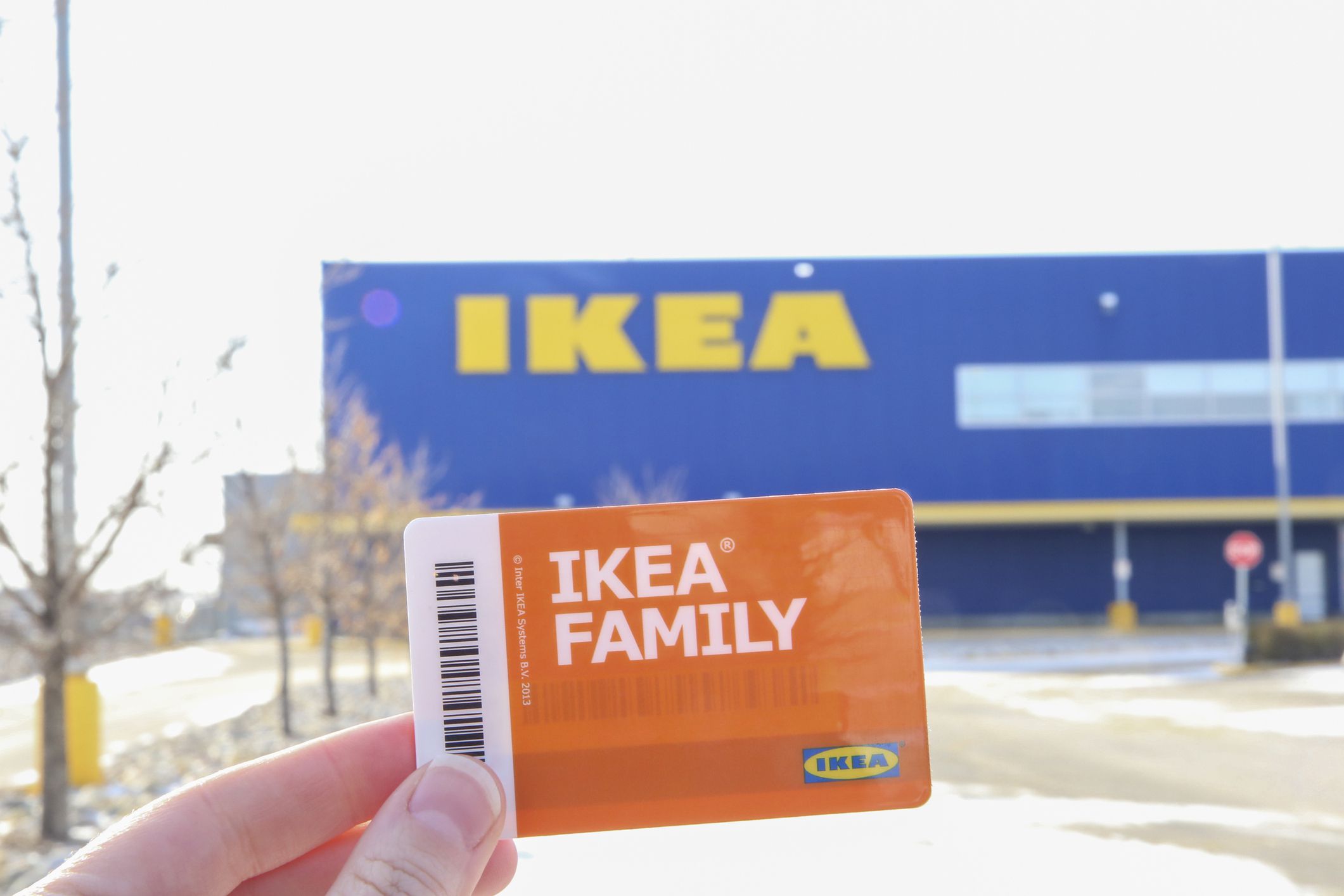 Ikea Family Card in the First Plan with the Store Logo in the Background