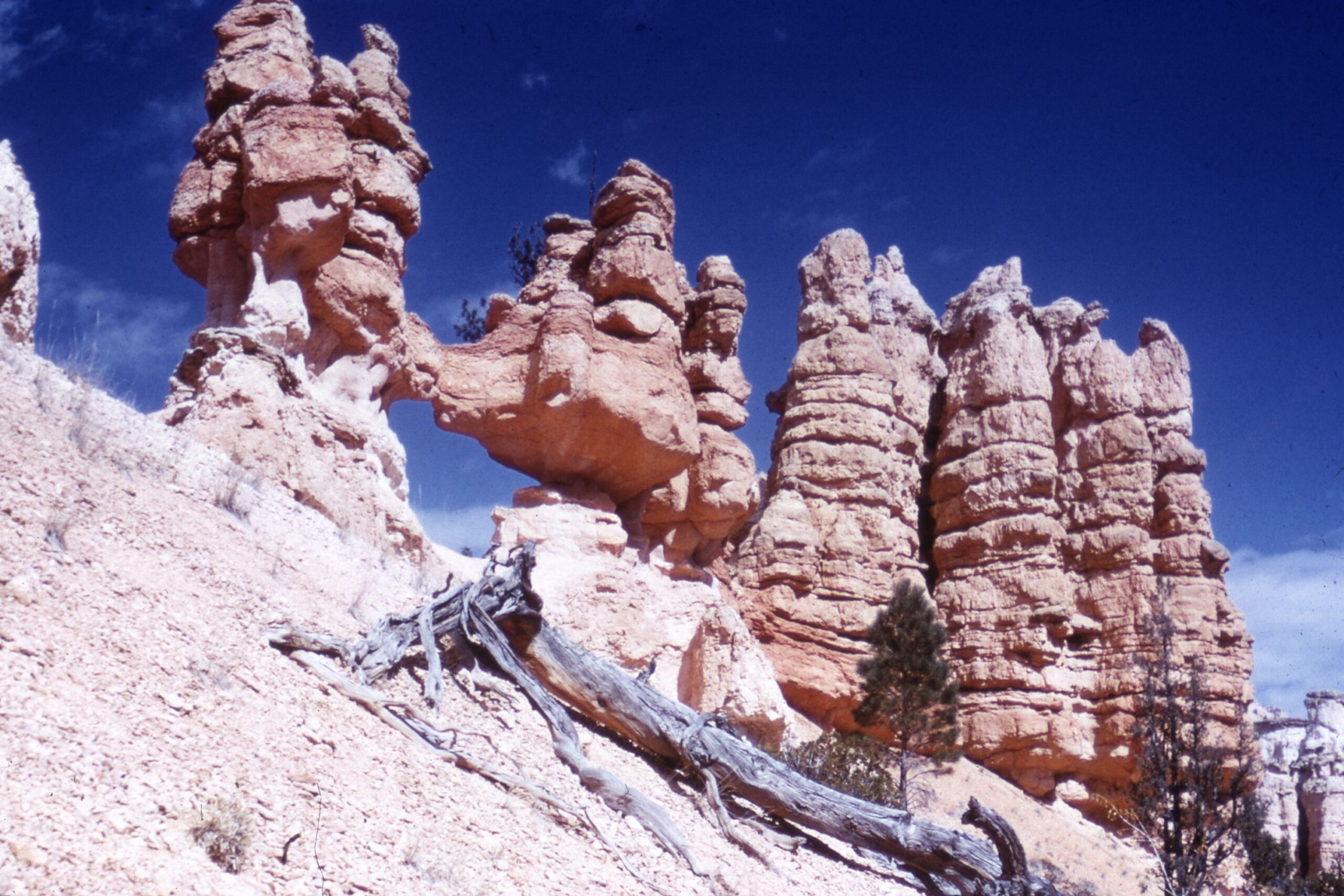 Bryce Canyon National Park | Utah