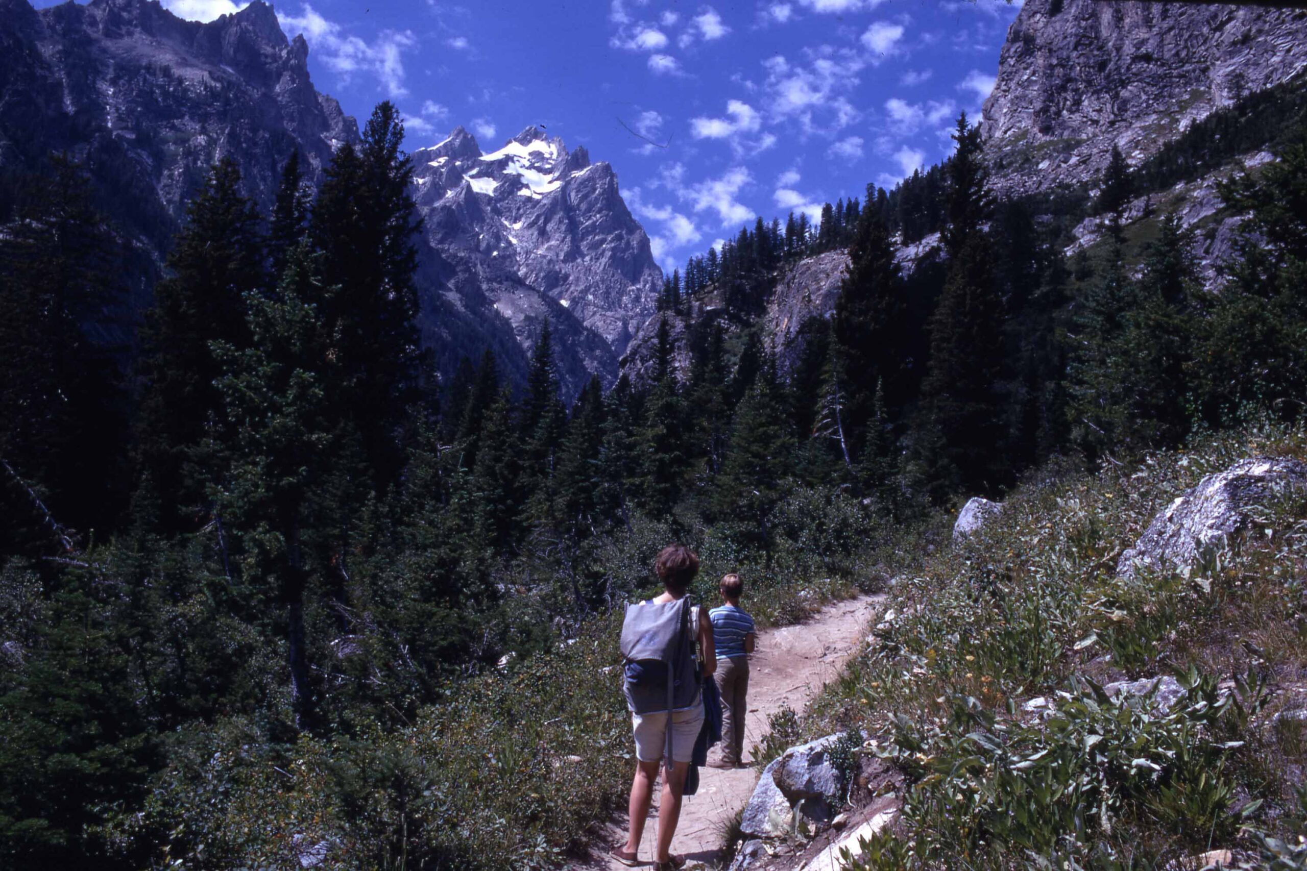 Visitors, hiking in Cascade Canyon, Grand Teton National Park, Wyoming