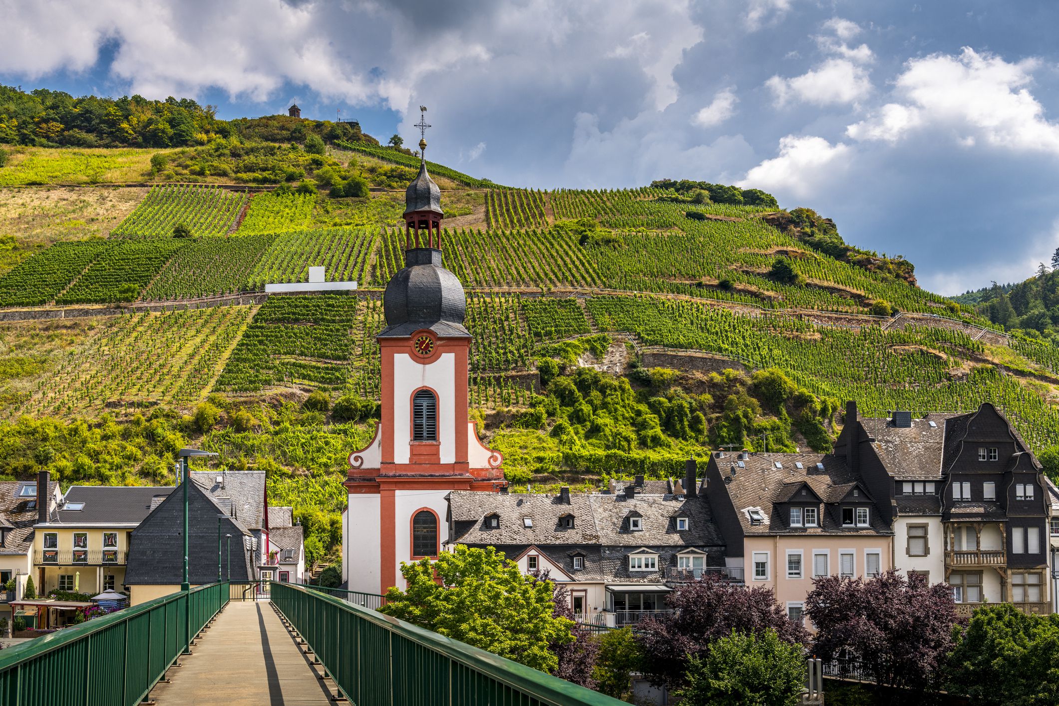 steep vineyard at Mosel Valley in Germany