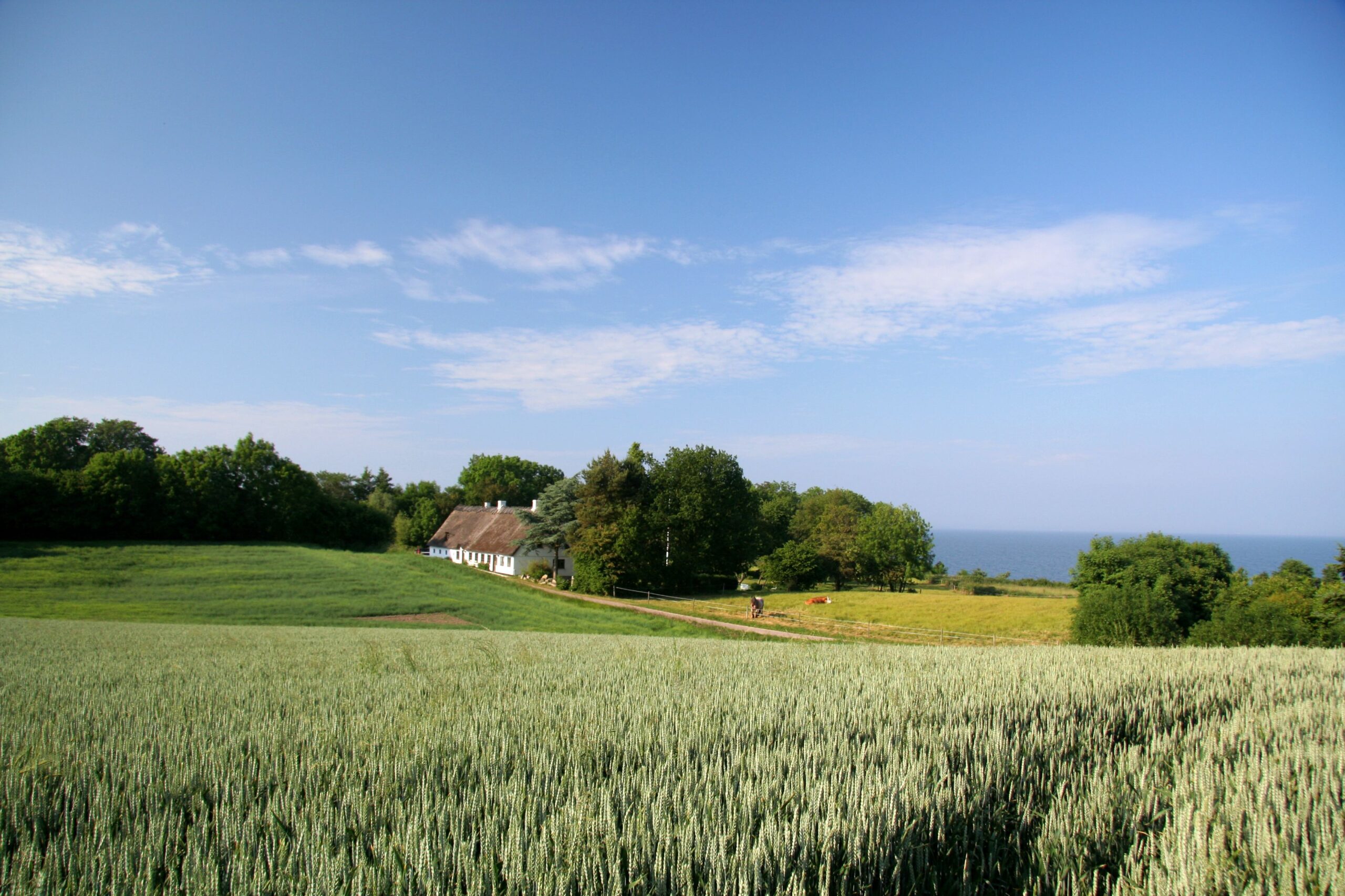 Old farmhouse, beautiful fields and sea on island Als in Southern Jutland Denmark. From same place: