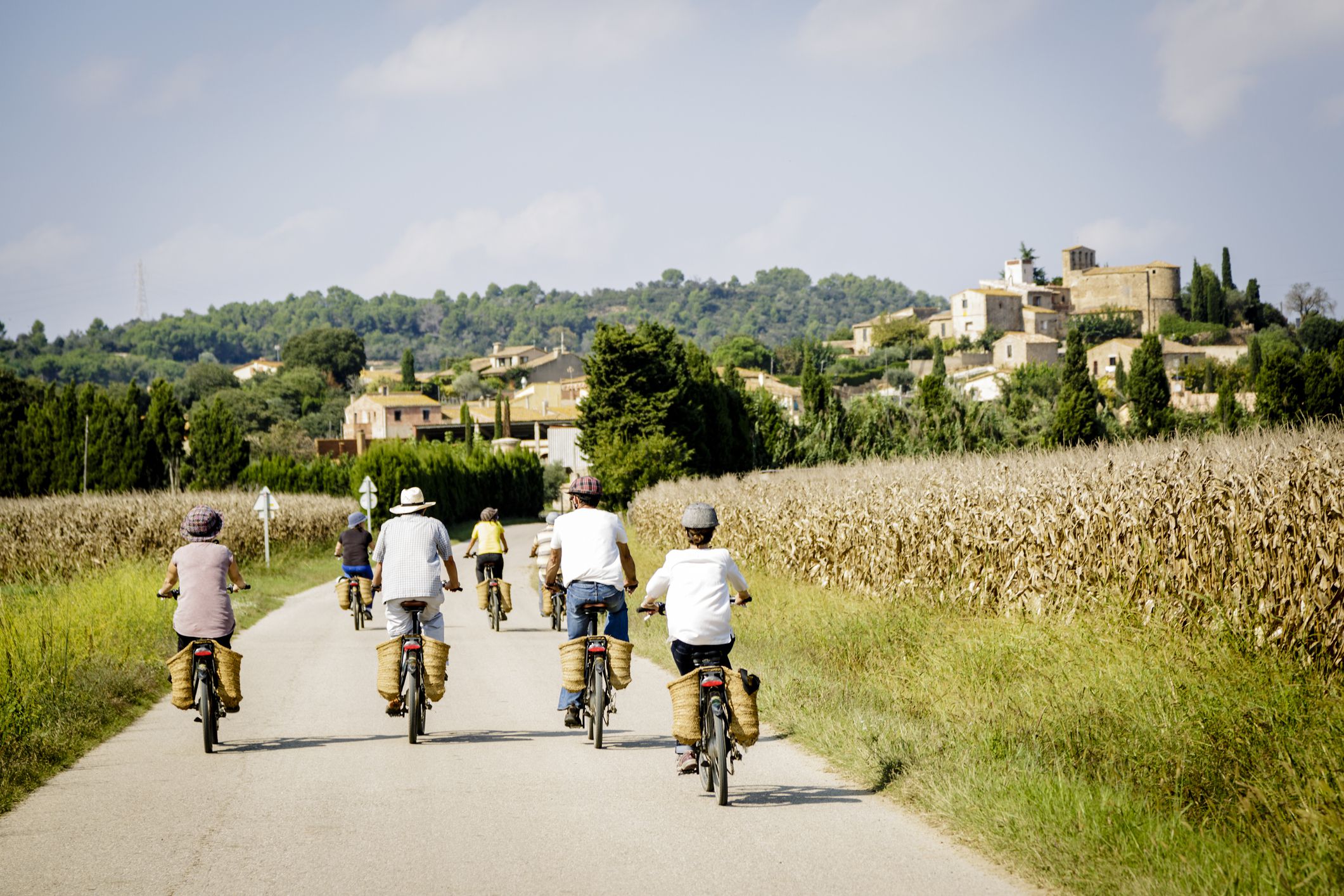 Group of friends ride along the field in electrical bicycles