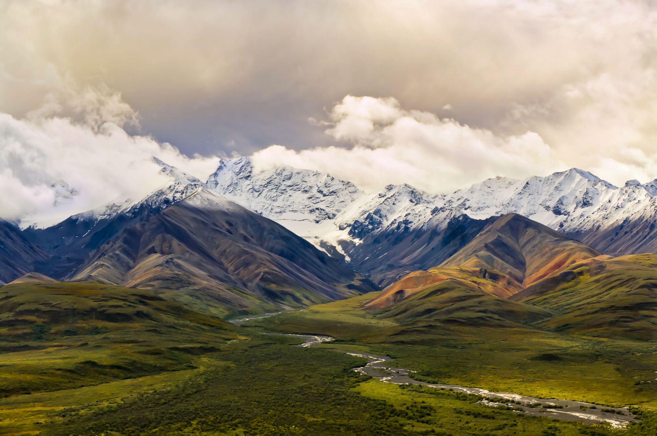View over a green valley with colorful snowy mountains and a cloudy sky in the background in the Denali National Park and Preserve, Alaska. Alaskan Tundra forest and the Polychrome Mountains