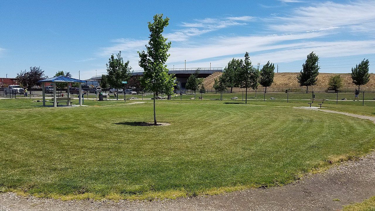 Amity Dog Park