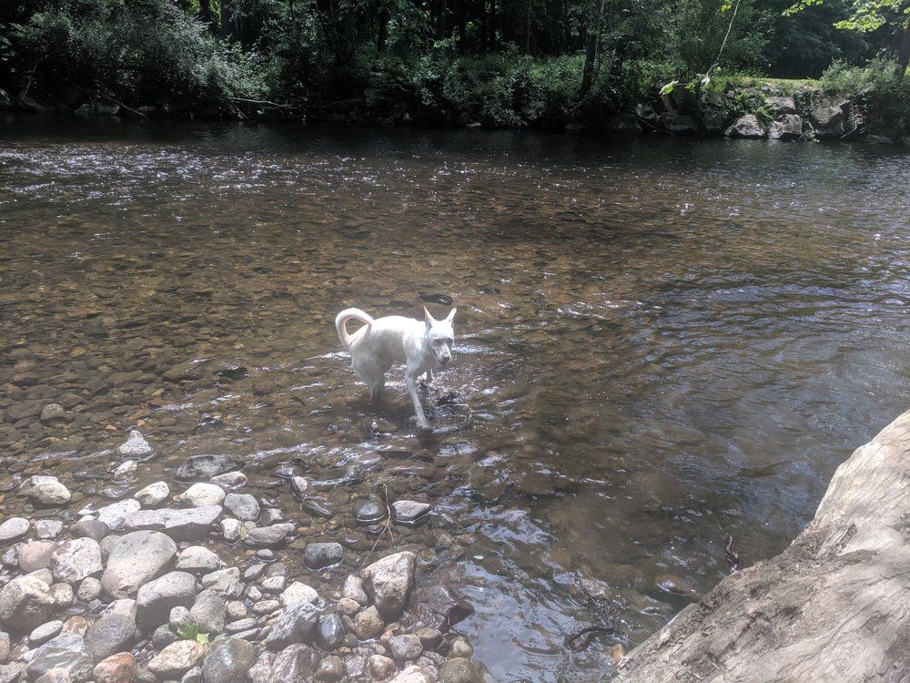 Southbury Dog Park
