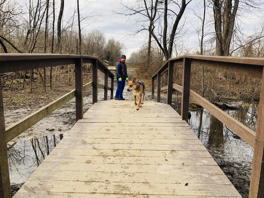 Freedom Barks Dog Park