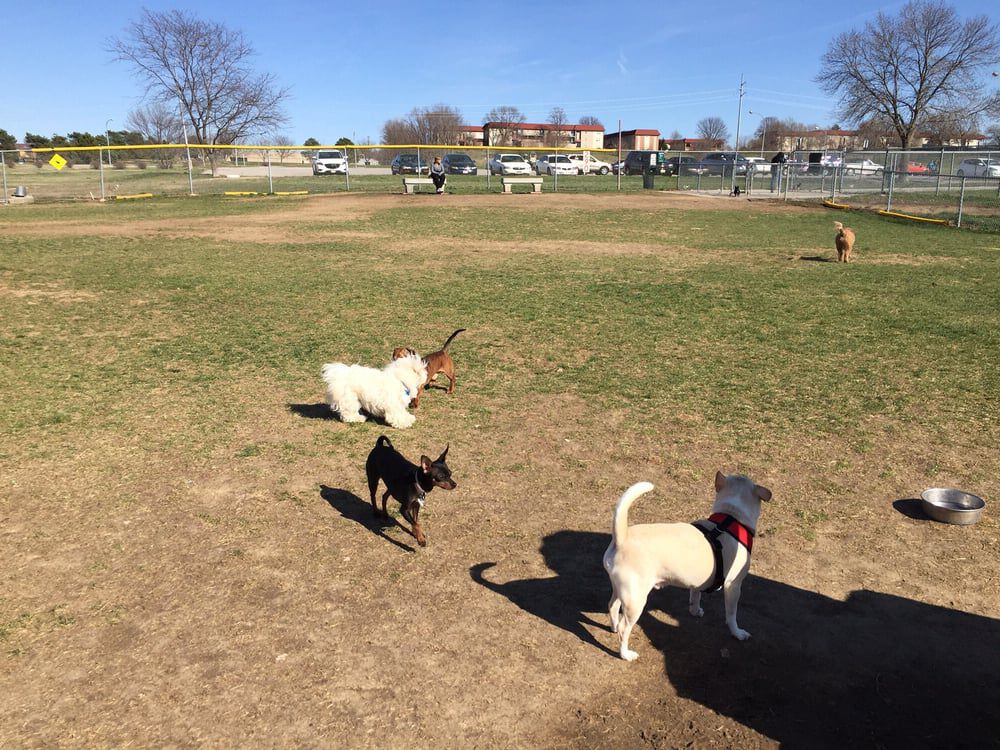 Hefflinger Dog Park