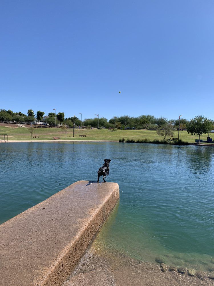 Cosmo Dog Park
