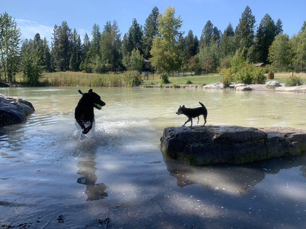 Hugh Rogers Whitefish Dog Park