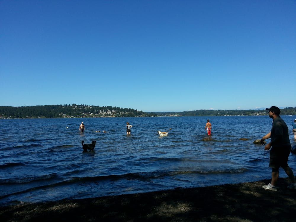Warren G. Magnuson Park