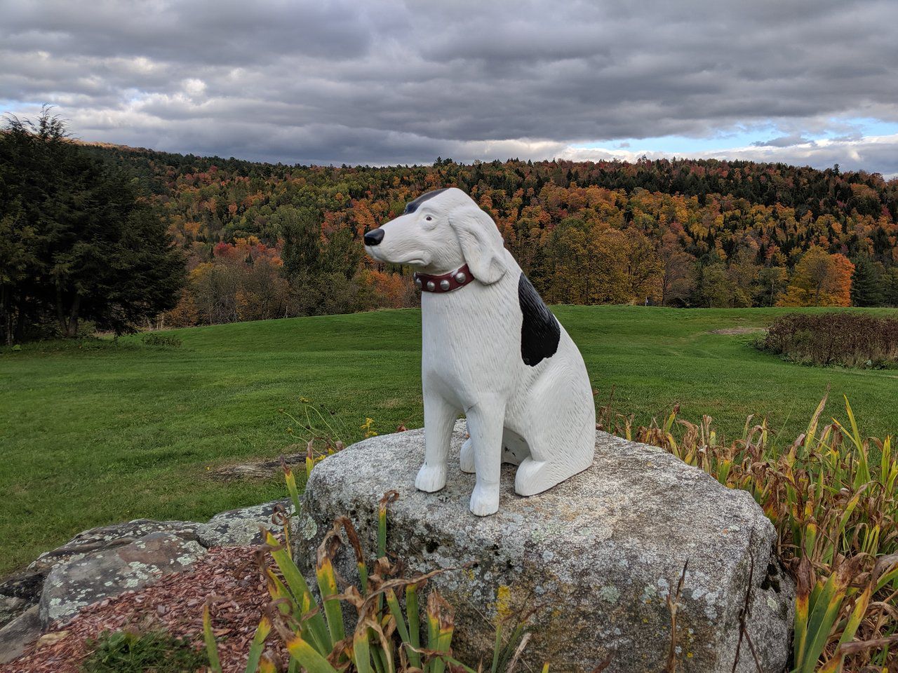 Dog Mountain