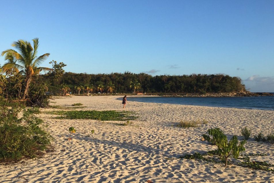 Playa Caracas, Vieques, Puerto Rico