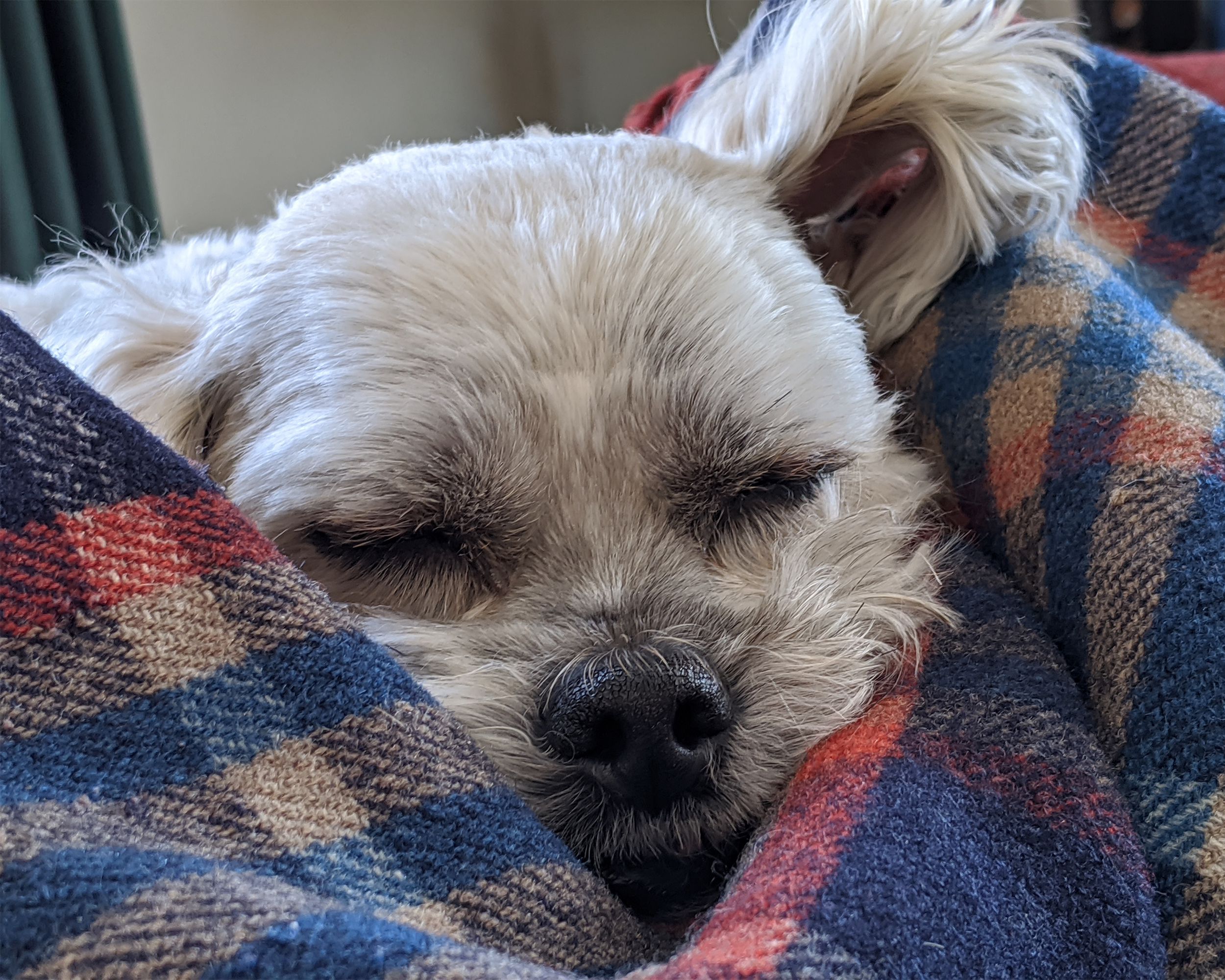 Coco