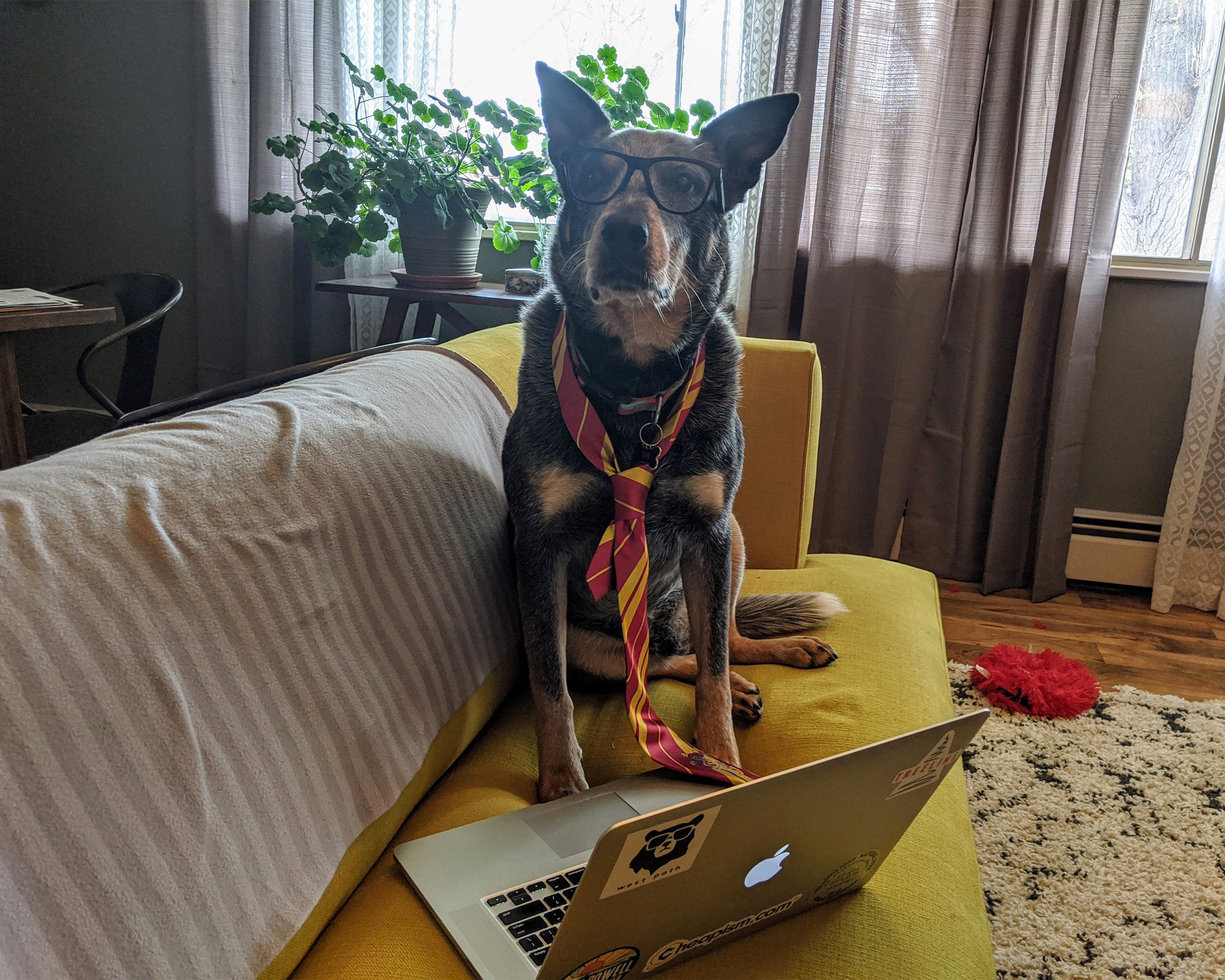 Sam