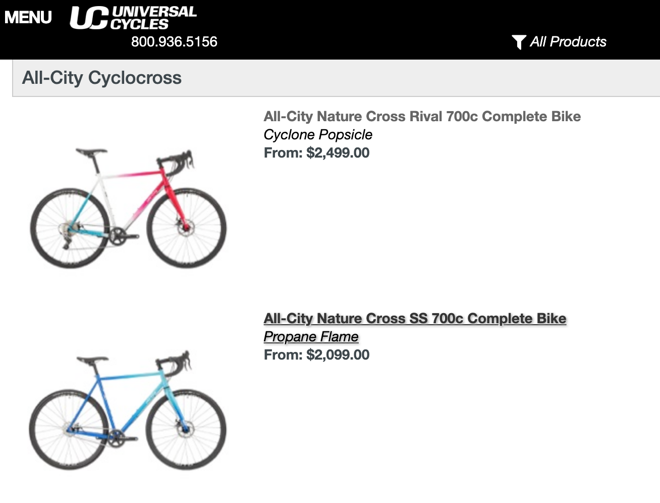 Universal Cycles