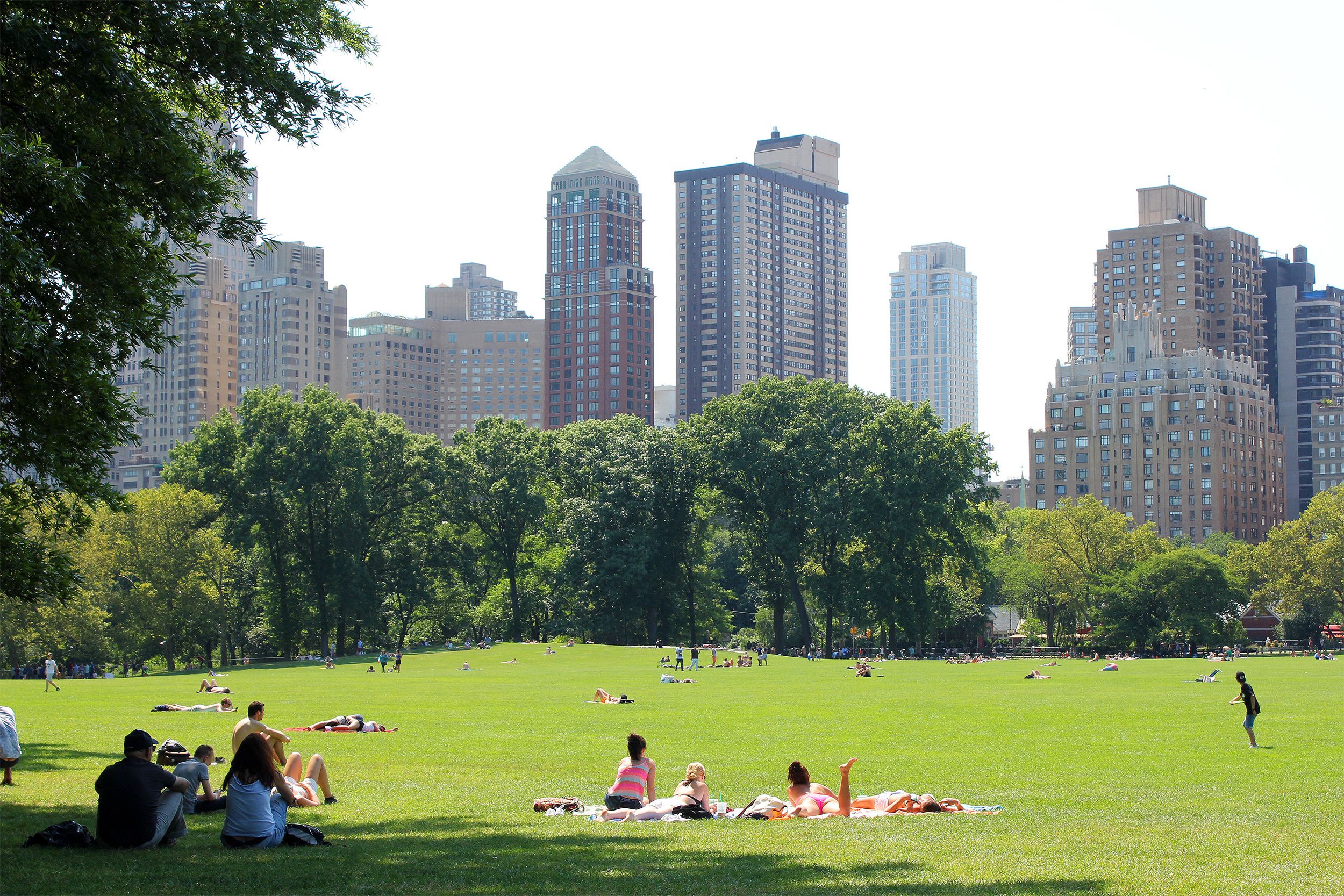 Central Park
