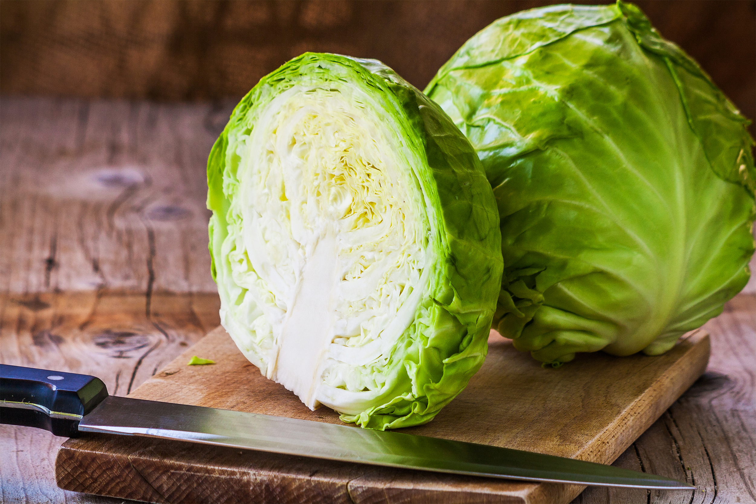 cabbage