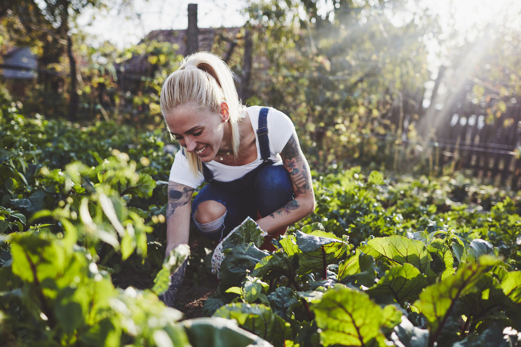 young woman gardening