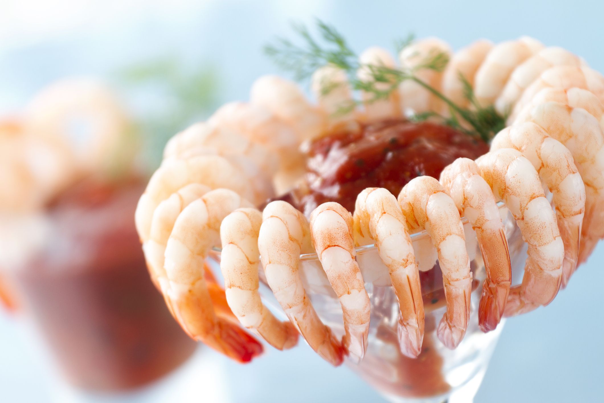 Shrimp cocktail in a martini glass with cocktail sauce and dill garnish.