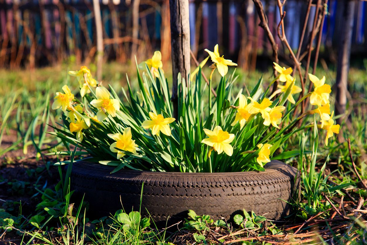 garden bed tires