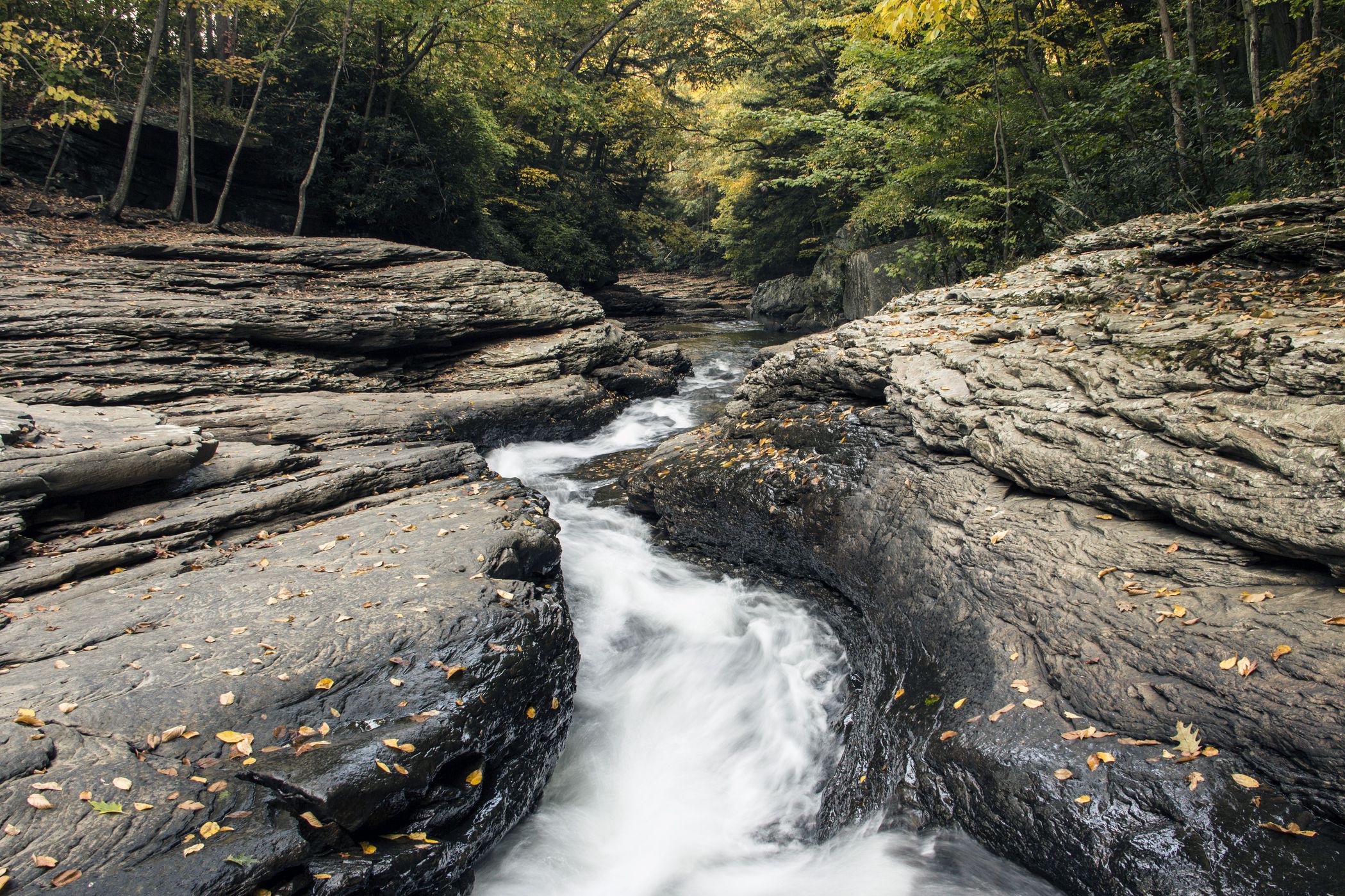 ohiopyle state park
