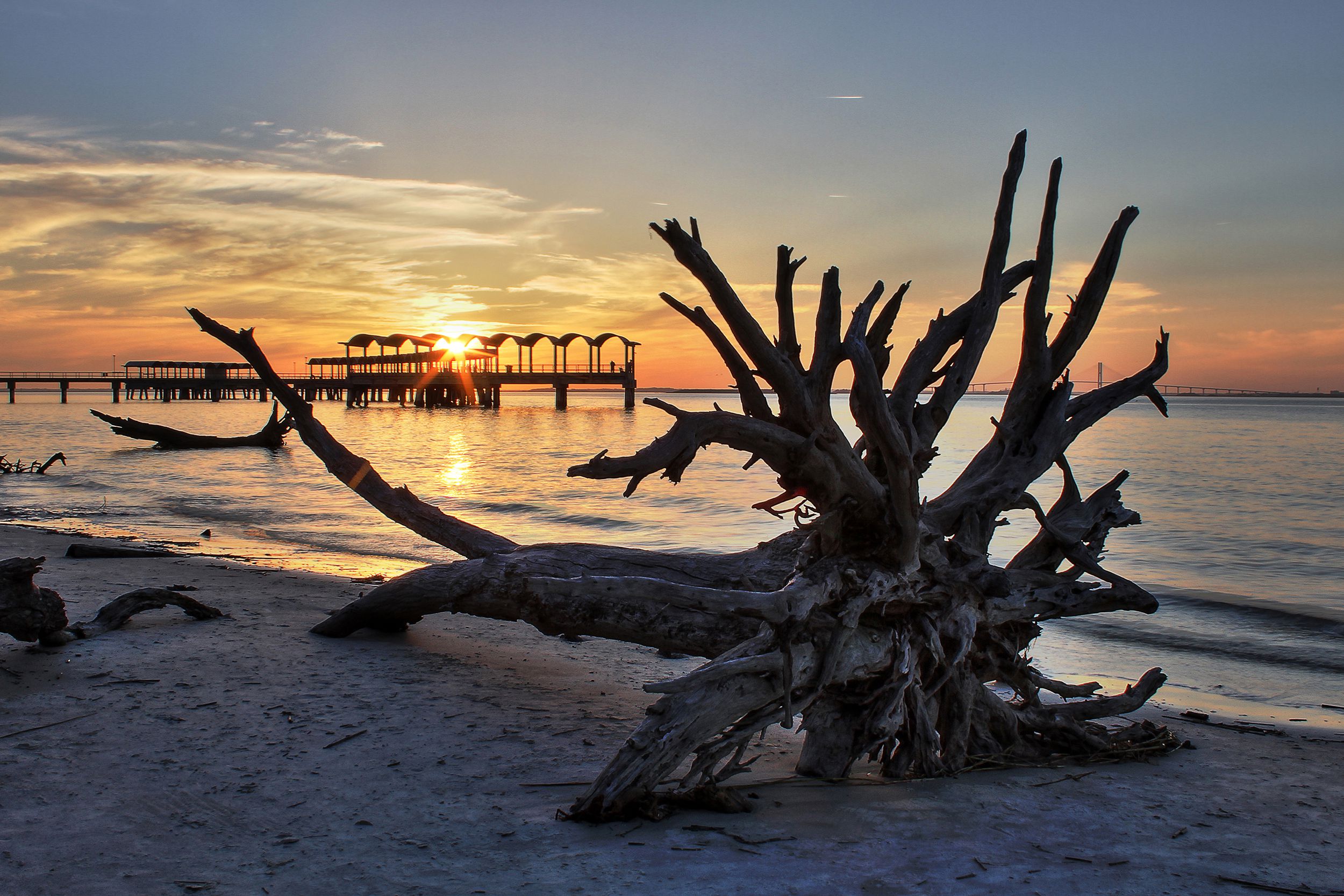 Driftwood Beach, Jekyll Island, Georgia