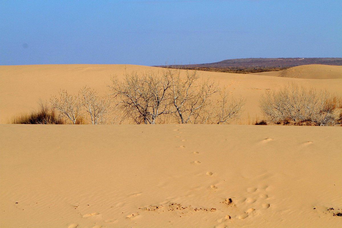 Mescalero Sands North Dune Off-Highway Vehicle Area