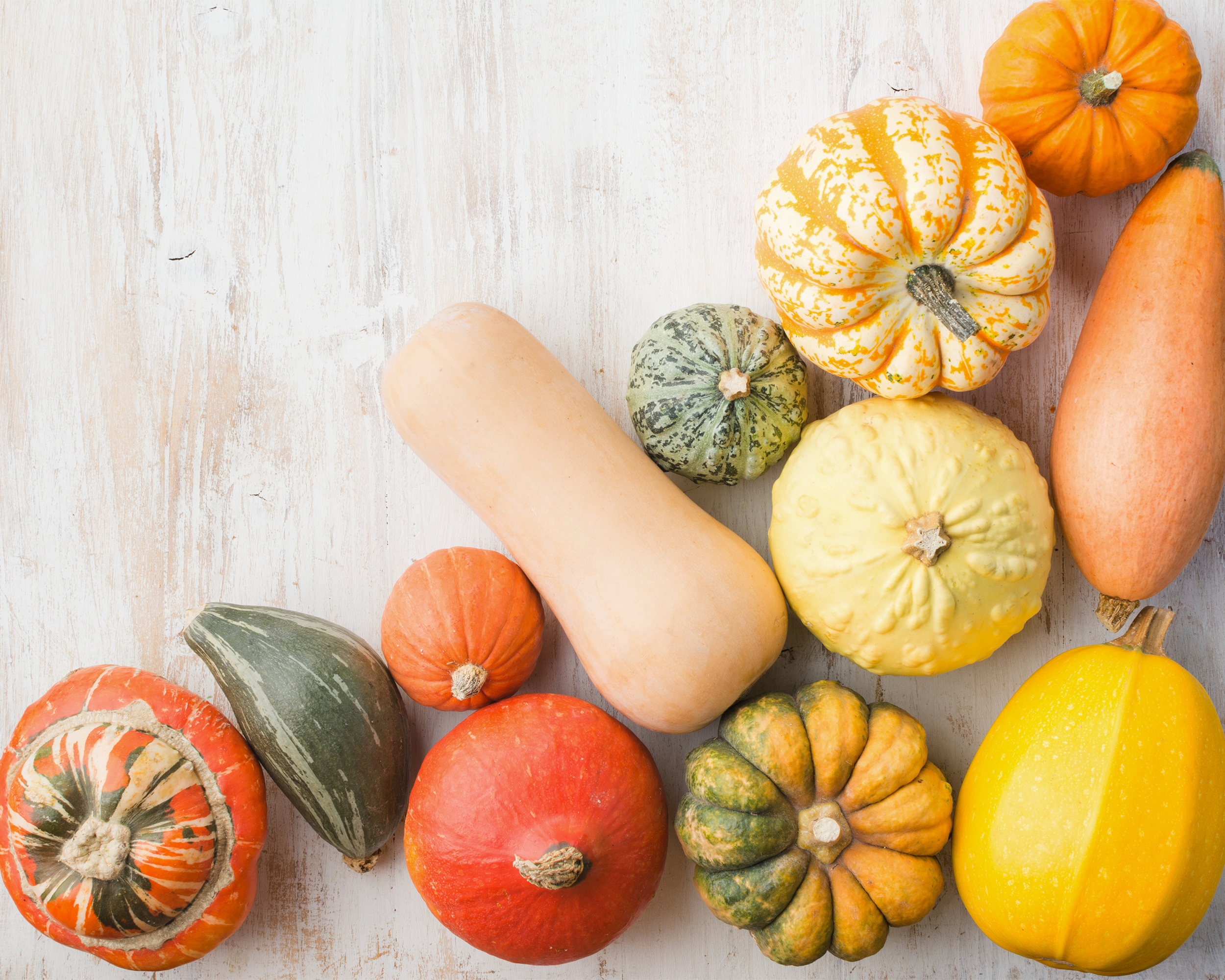 Squash