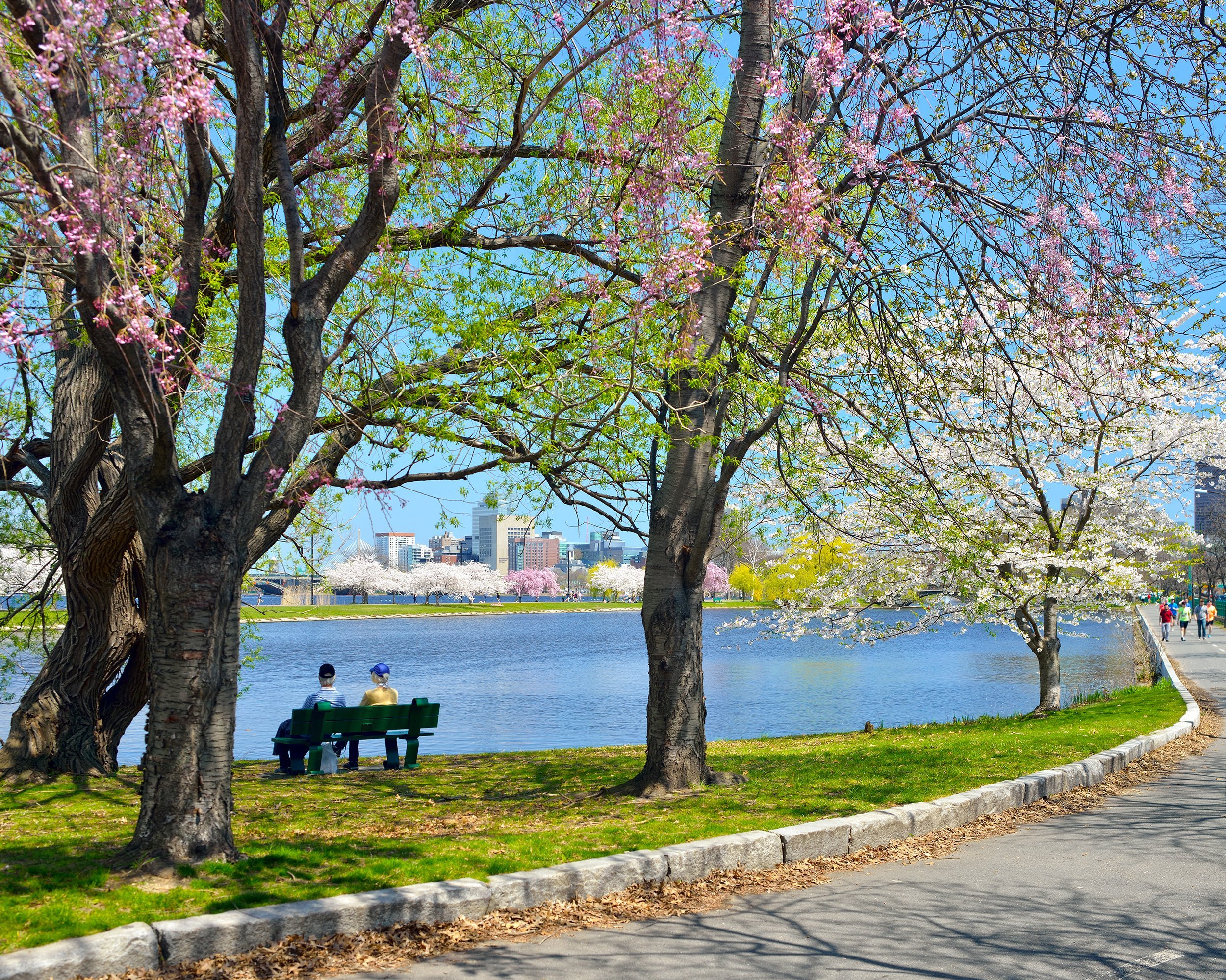 senior couple sitting together on a bench at a park overlooking Charles River