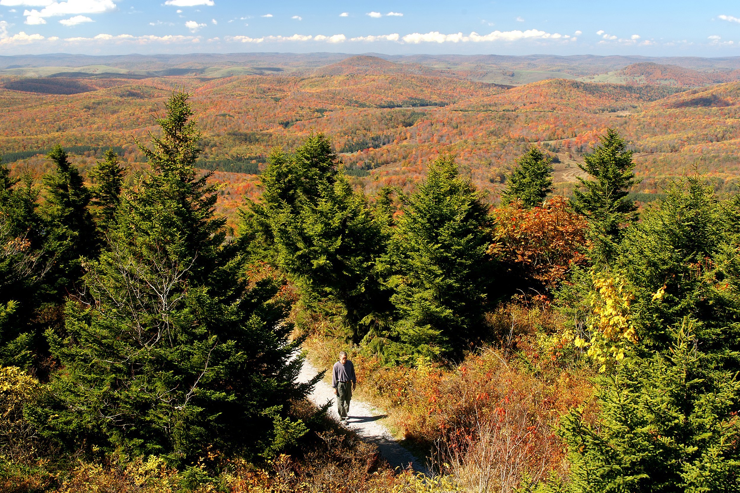 mature man hiking in West Virginia in autumn with expansive view