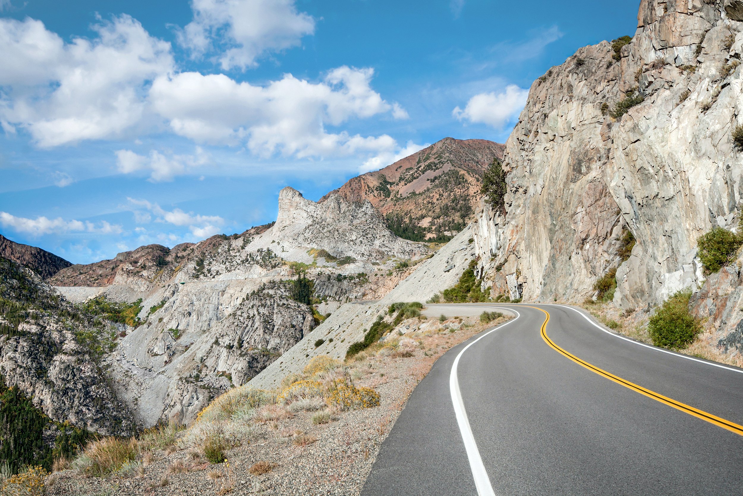 Tioga Road
