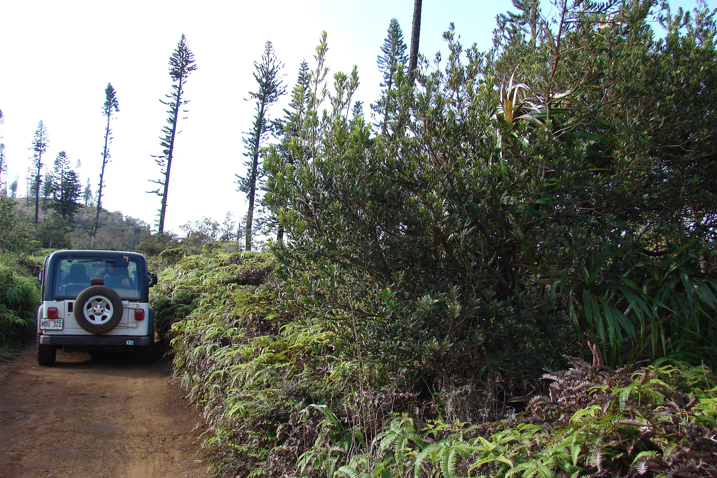 Lanai, Hawaii