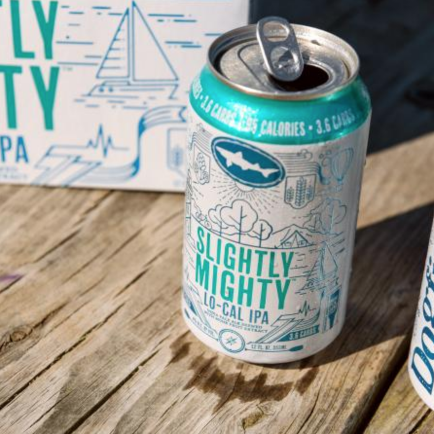 Dogfish Head Slightly Mighty