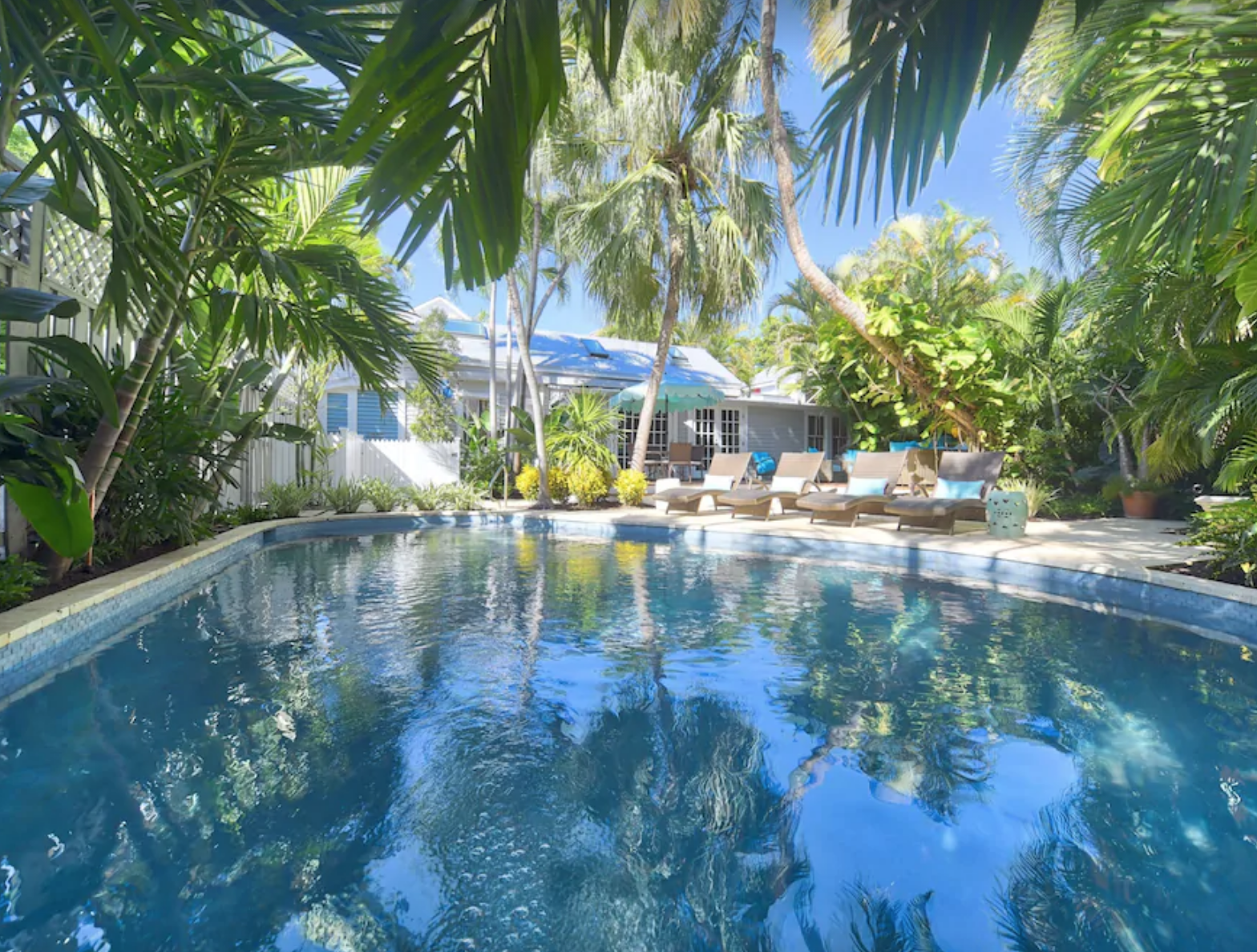 Havana Lane: The Pool