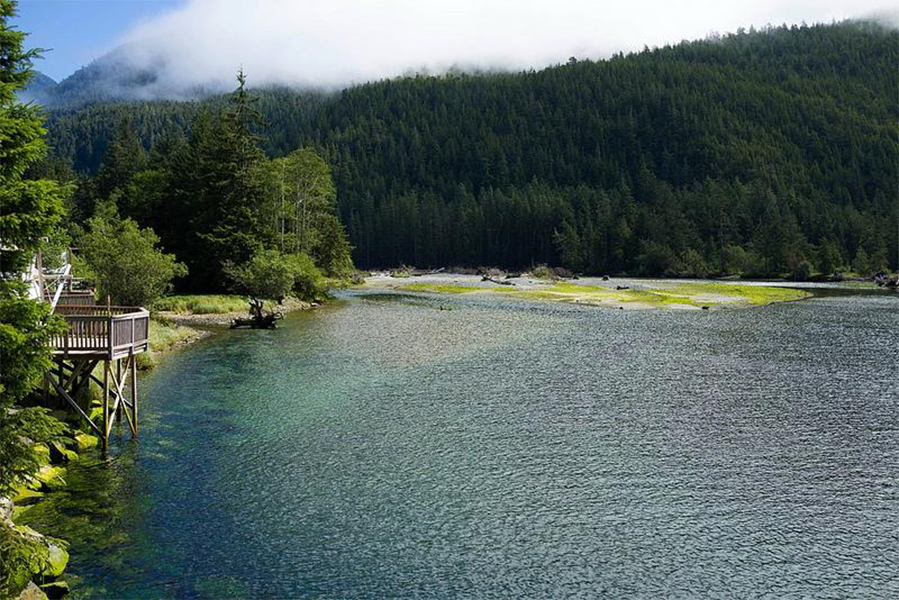 Clayoquot Wilderness Resort
