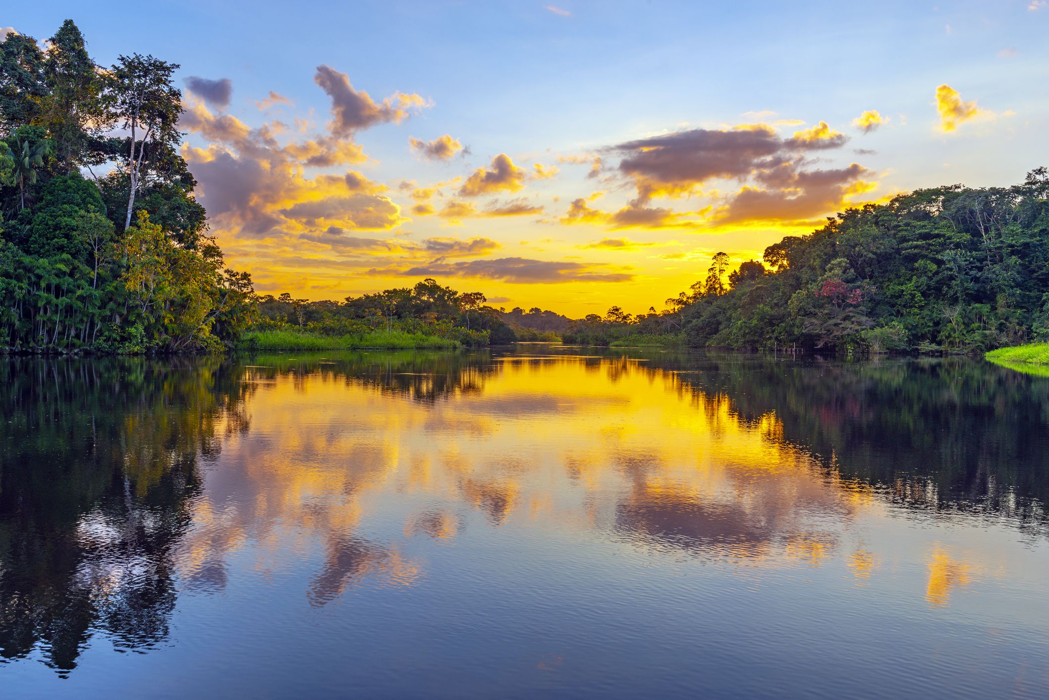 Yasuní National Park and Biosphere Reserve