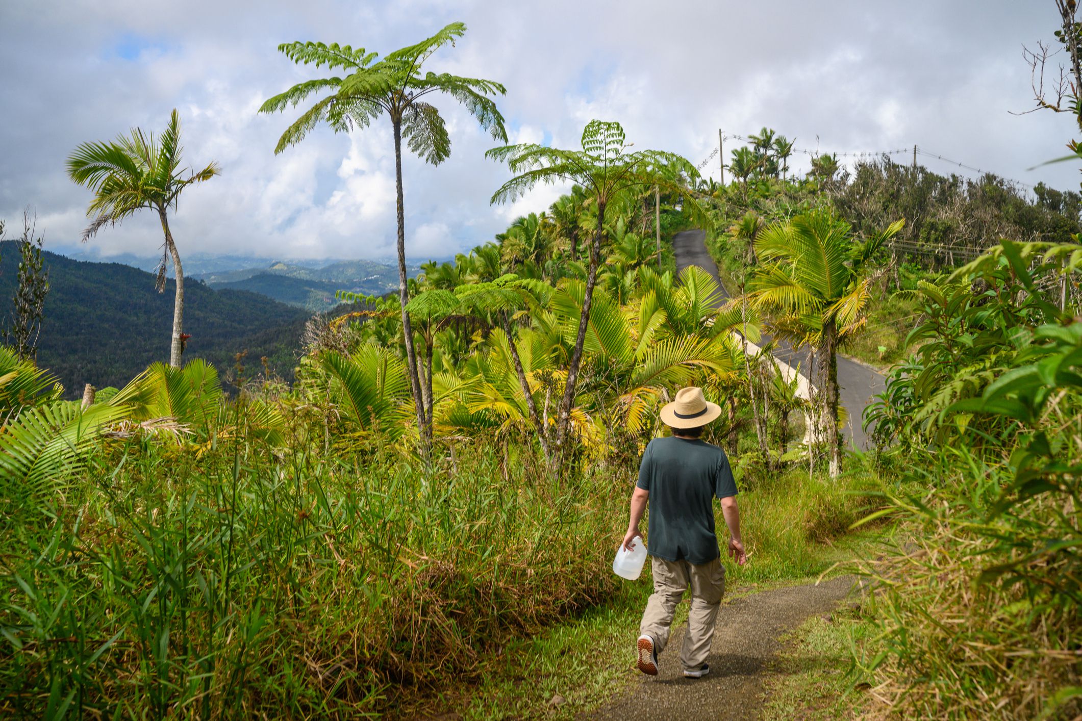 El Yunque National Rainforest