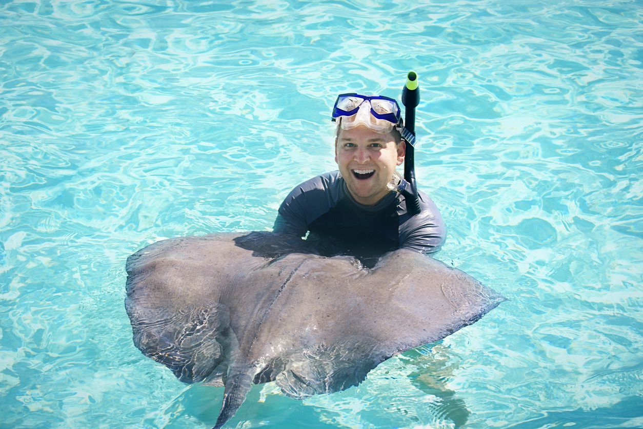 swim with stingrays