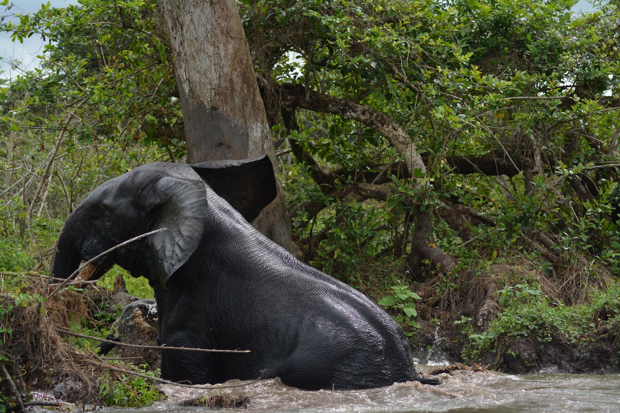Loango National Park
