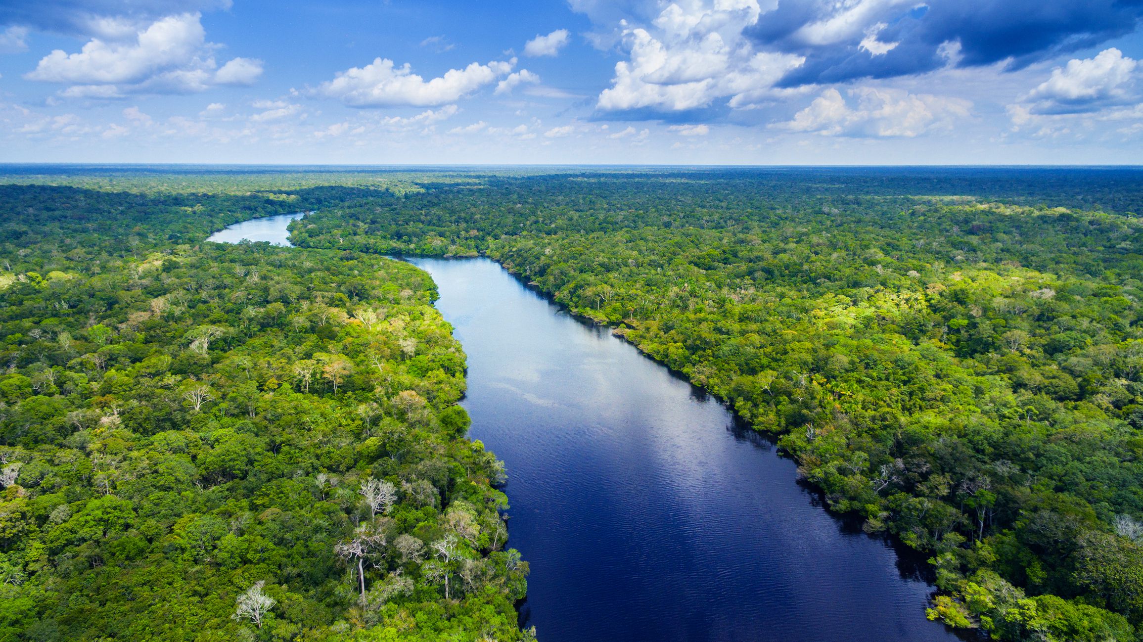 Amazon Rainforest
