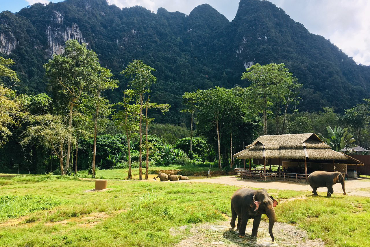 Elephant Hills Rainforest Camp