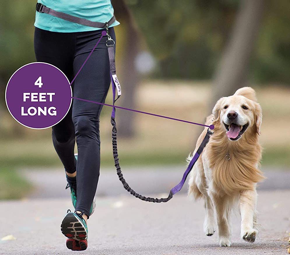 Tuff Mutt Hands Free Dog Leash