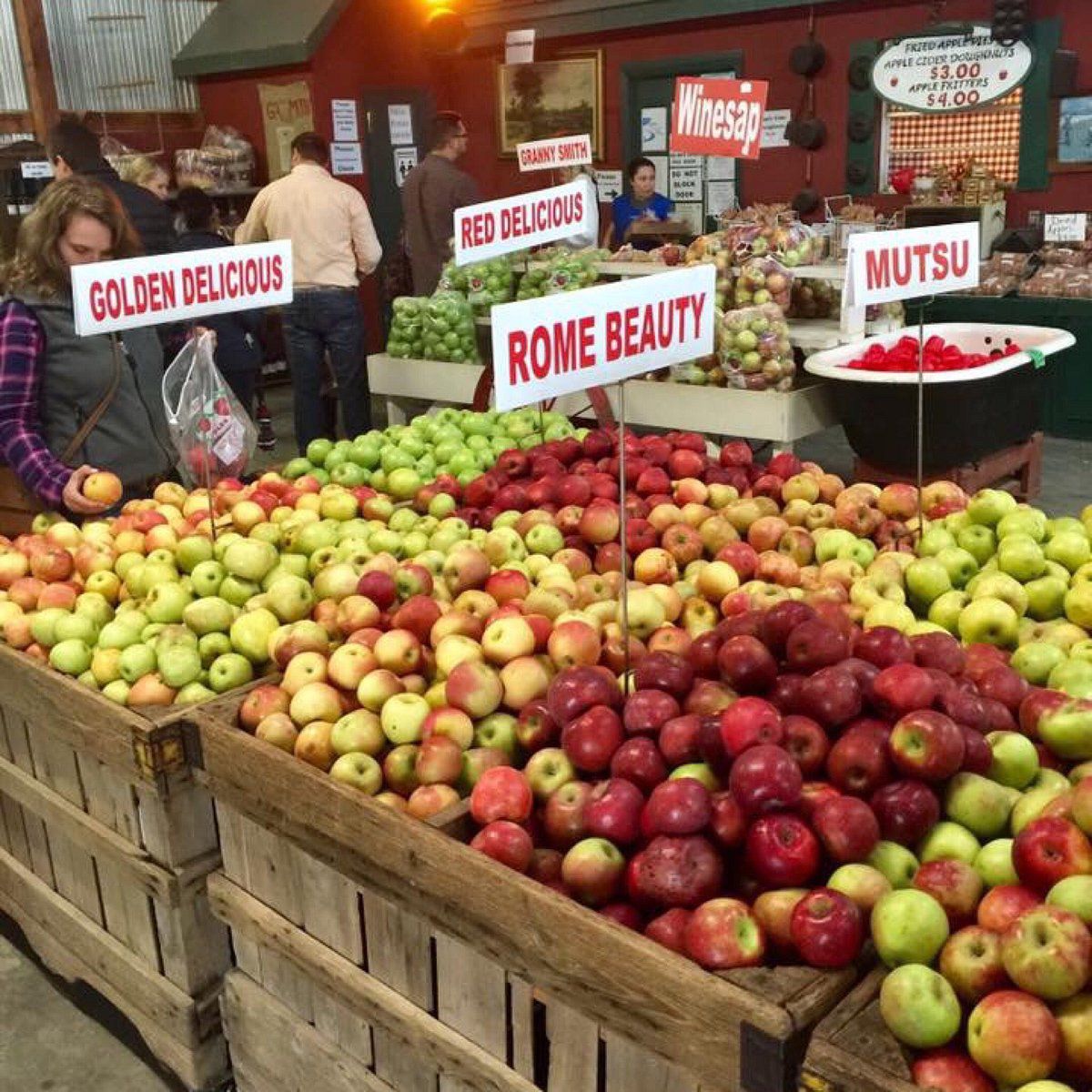 Georgia Apple Festival