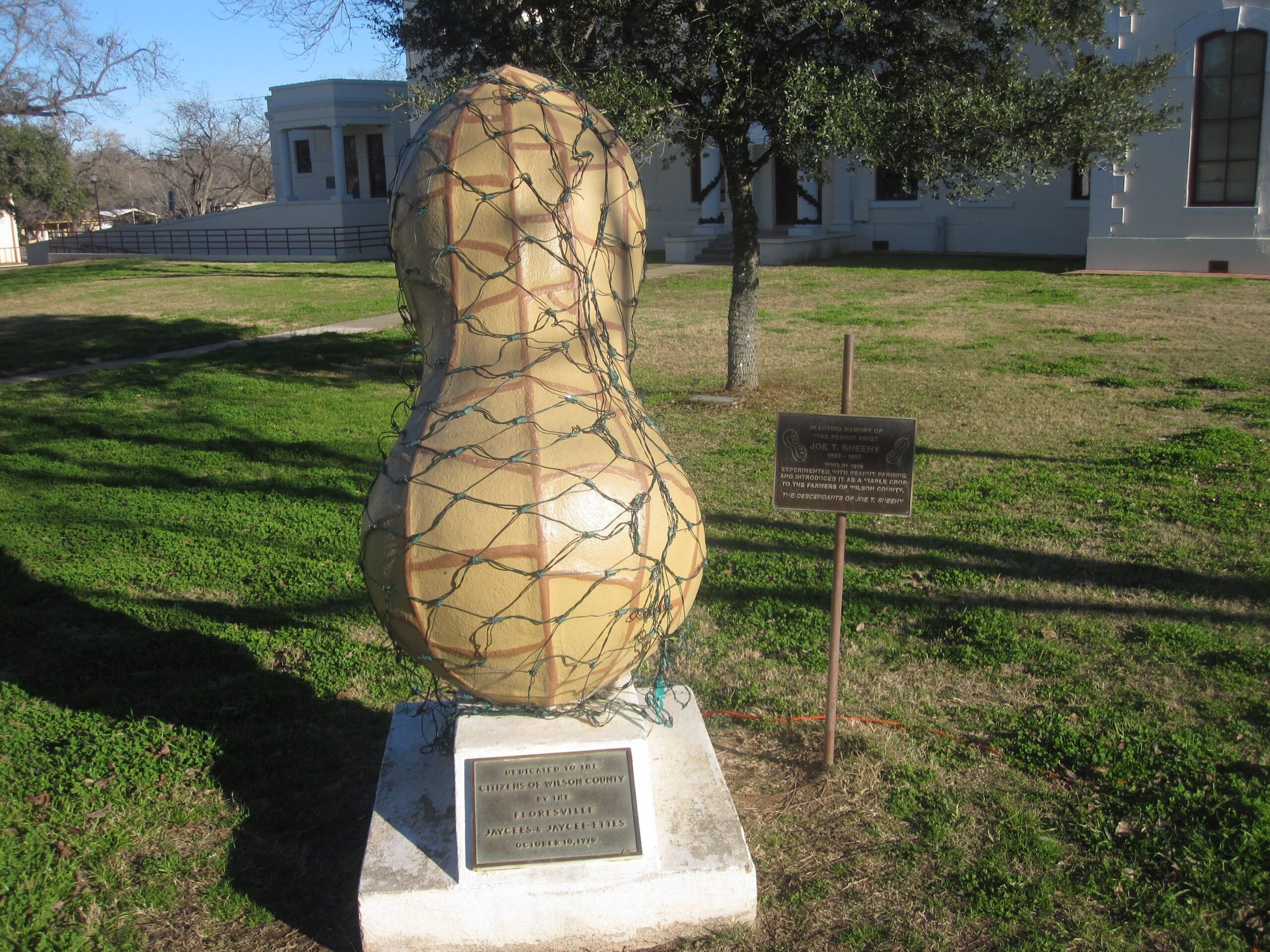Floresville Peanut Festival